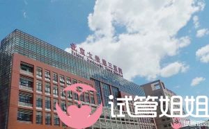 北京大学第三医院-国内三代试管医院