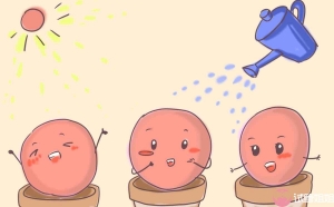 子宫缺失可以去私人医院做试管选男孩吗？能包成功吗？