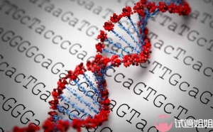 宫外孕、试管移植失败两次做三代试管选男孩居然自然受孕成功！
