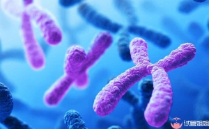 想做广州三代试管选男孩该如何正确备孕？