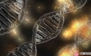 2023年在泰国进行三代试管选男孩取卵的过程究竟是怎样的呢？