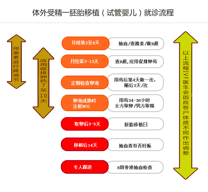 试管放2个成功率有多少，胚胎与囊胚移植哪个更好呢？