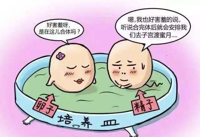 美国可以做试管吗