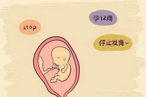 泰国试管可靠吗