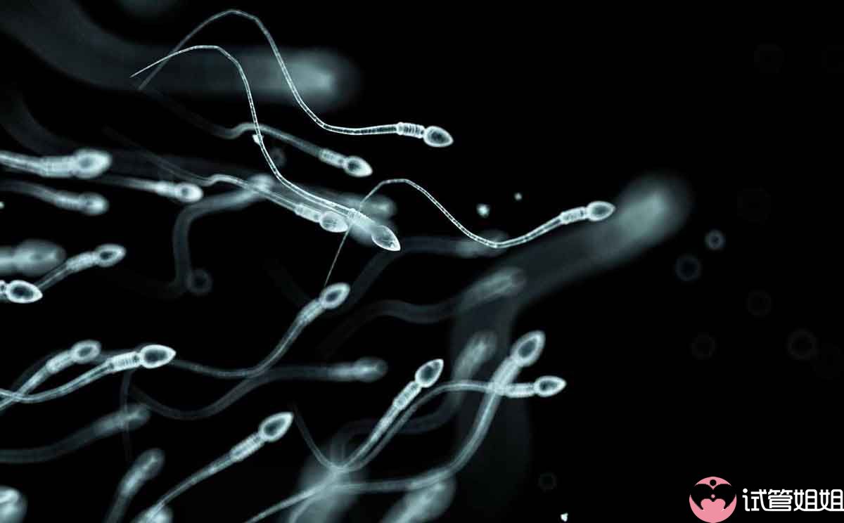 男性精子DNA完整性