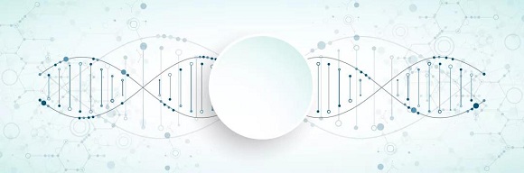 DNA碎片对试管婴儿成功率的影响
