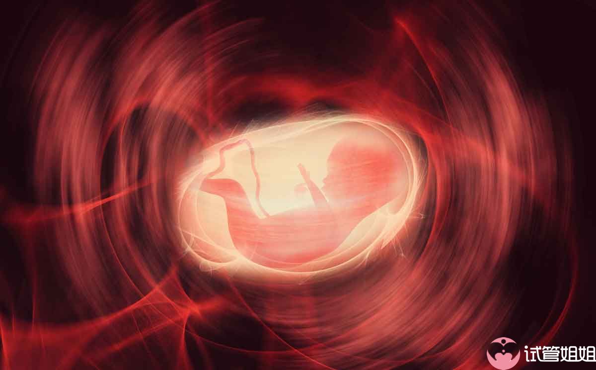 卵巢早衰试管婴儿
