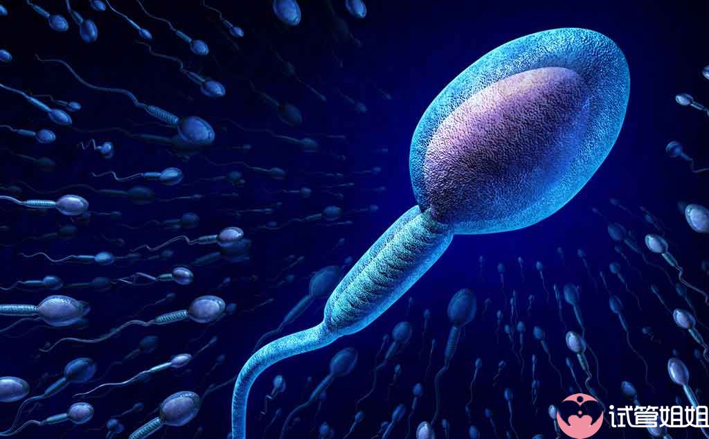 2023年在杭州做三代试管选男孩包成功的成功概率如何